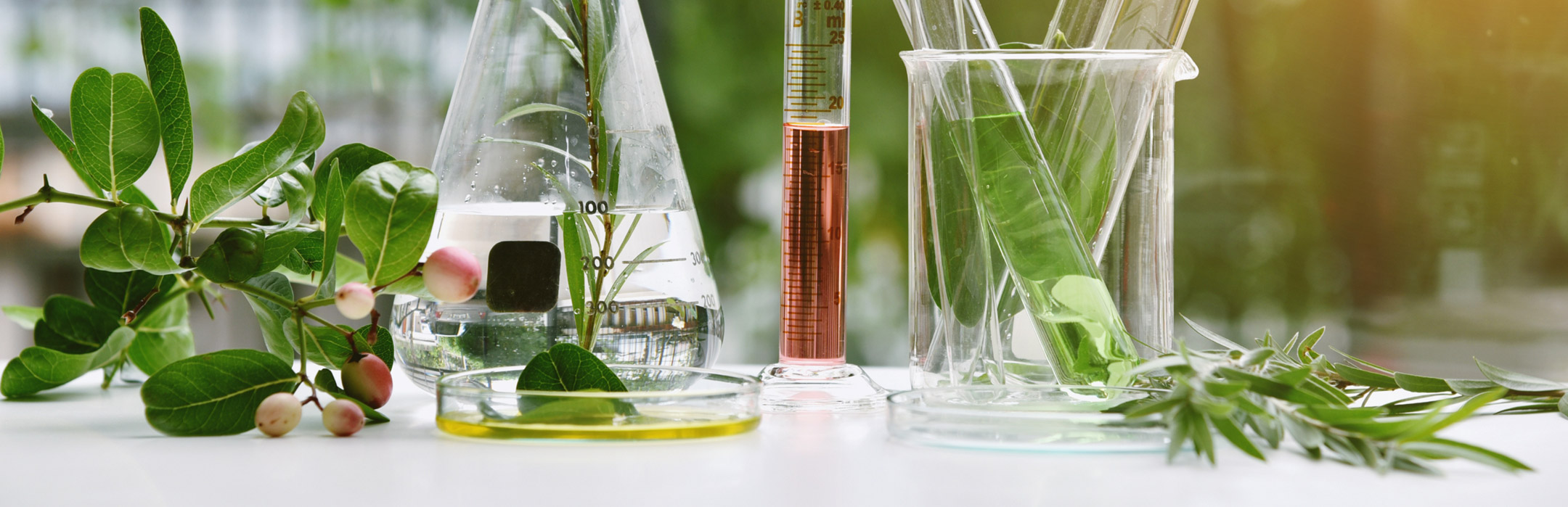 lifesciences_servizi