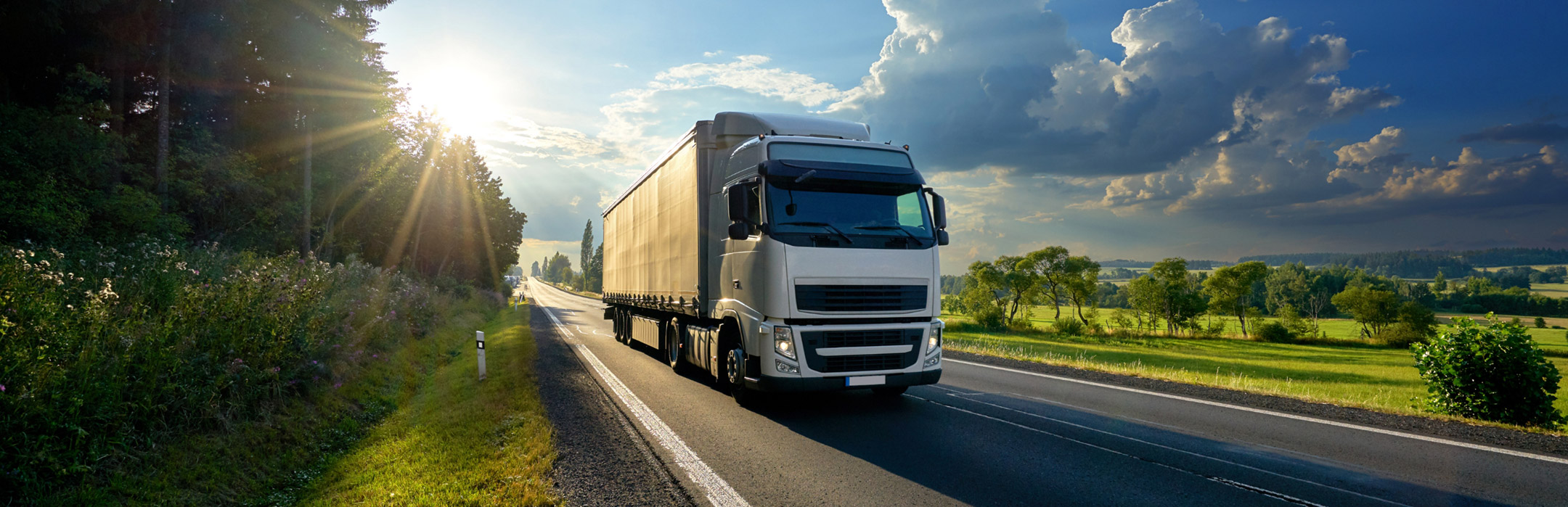 logistica_distribuzione