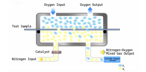 principio di prova Y310L