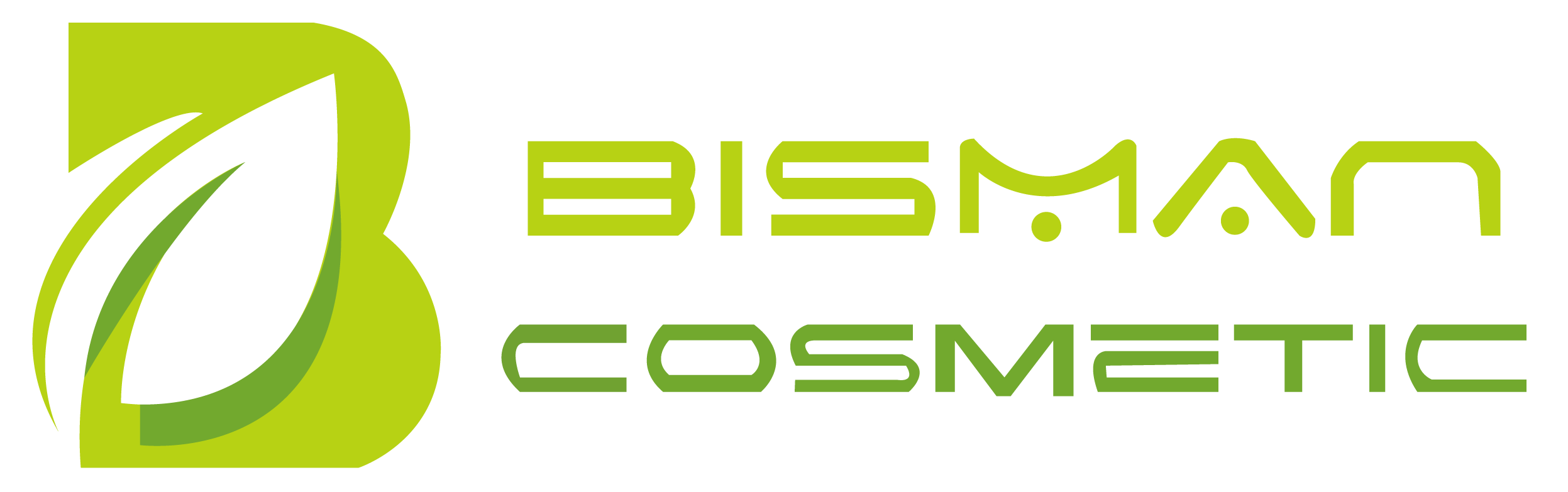 Logo Xiamen Bisman